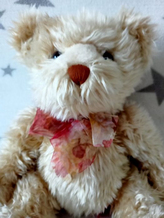 Uroczy Miś z kokardką Jakość firmy Hamleys