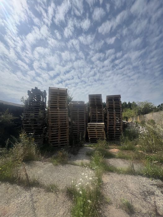 Піддони- палети продам бу