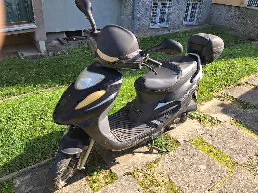 Zipp