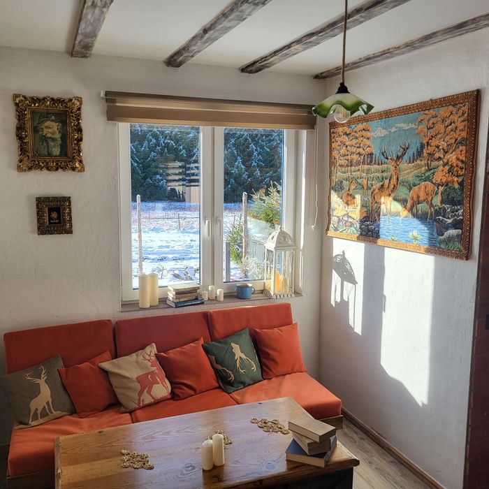 Ferie w Górach - Zieleniec Ski Arena Lasówka 37A