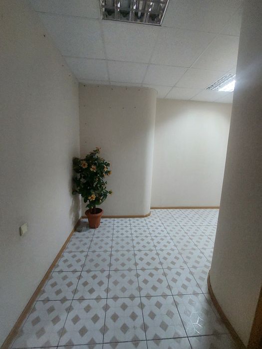 Оренда  офісів Миколаїв