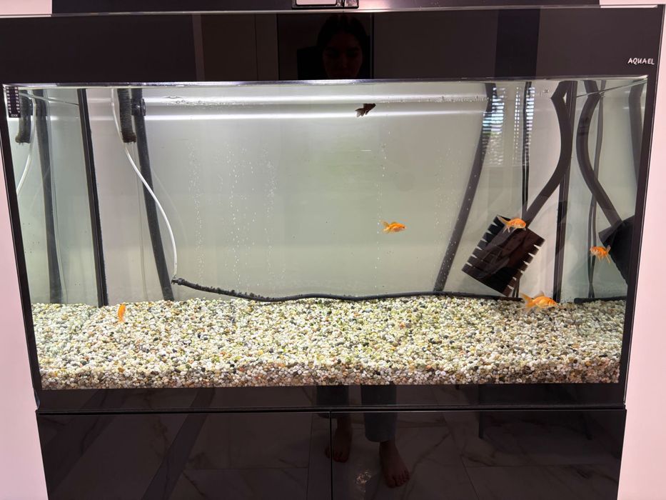 Премиальный аквариум Aquael Glossy 120 (260 л) + оригинальная тумба + внешний фильтр + полный комплект