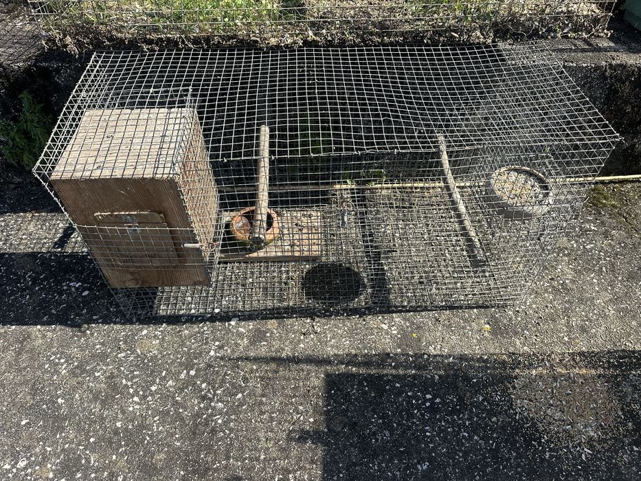 3 gaiolas  para aves