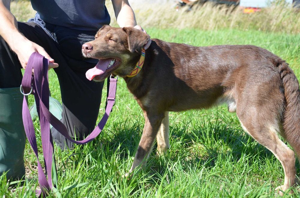 Z Burbonem nie ma nudy [dom poszukiwany]