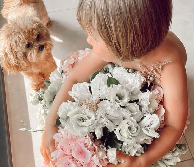 Крихітні дітки мальтіпу