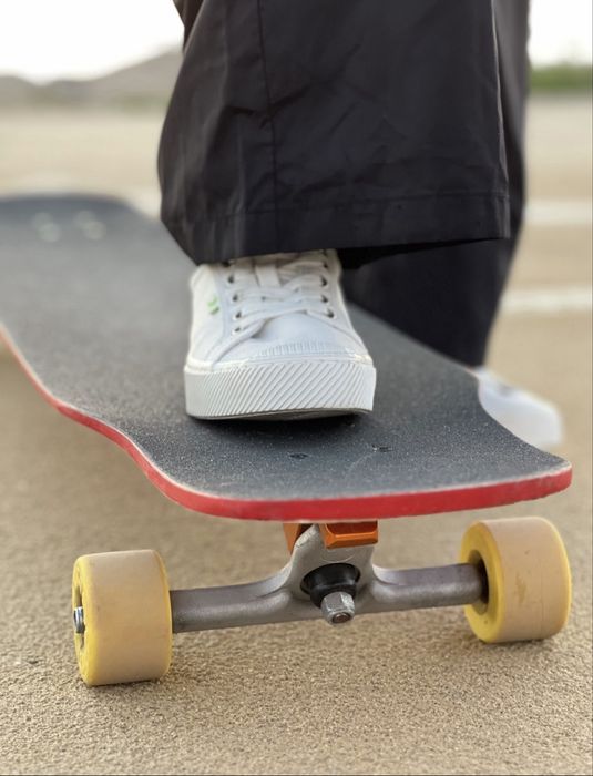 Longboard Pepper Inari 48 - Custom Fox Art - Bear Trucks - Quase Novo!