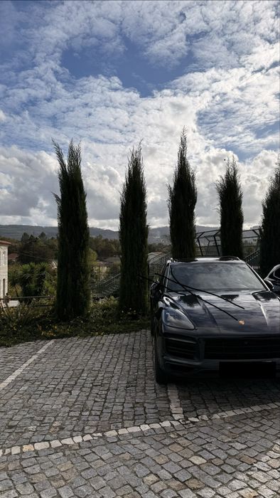 Porsche Cayenne e-Hybrid 462 cv