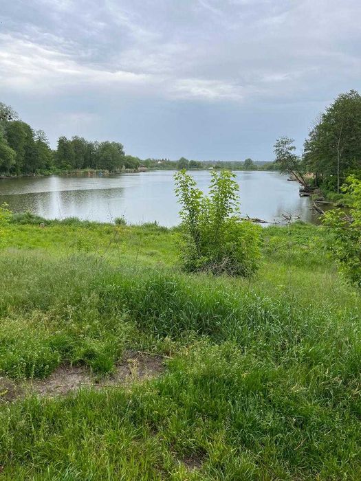 Продаж земельної ділянки в Музичах