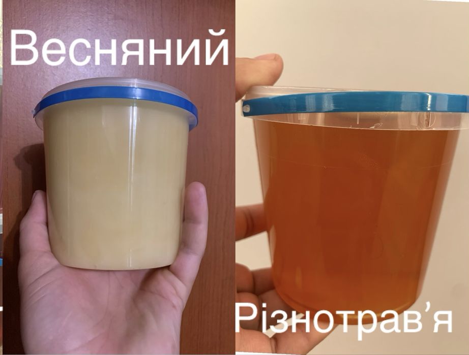 Мед соняшниковий з гречкою опт(мед гречаний з соняшником), мед весняний, різнотравʼя