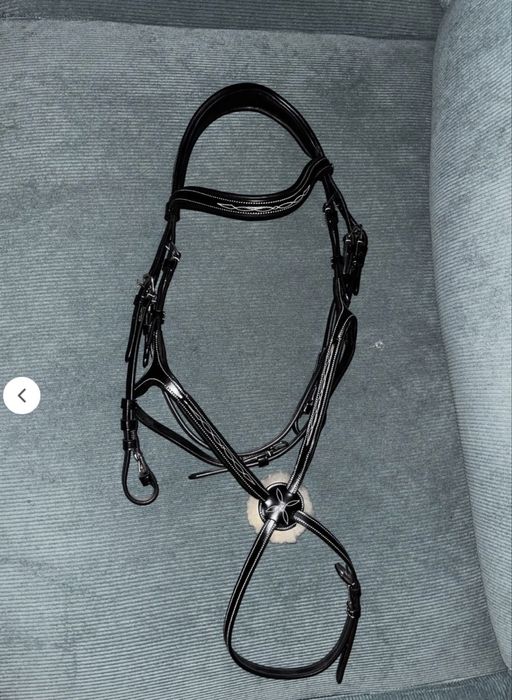 Ogłowie meksykańskie