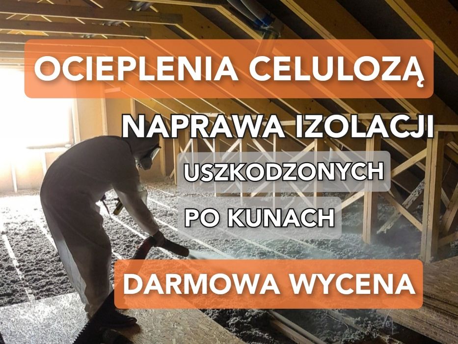 Ocieplenia celulozą, wełna celulozowa, naprawa izolacji po kunach