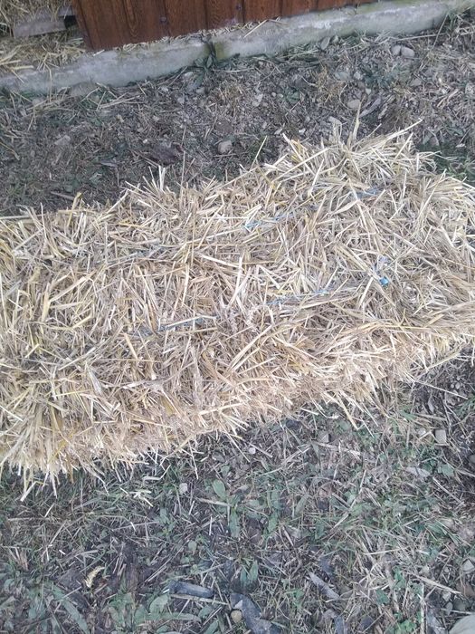 Продам тюки соломи
