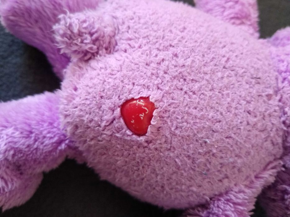 Troskliwy Miś Care Bear vintage Share Bear 2004