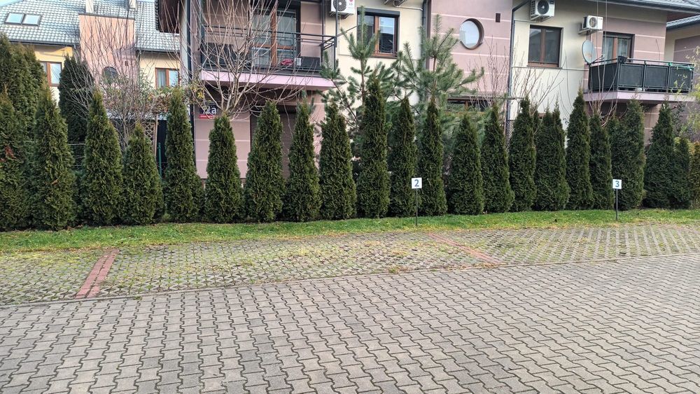 Prywatne miejsce postojowe w Rzeszowie na zamkniętym parkingu