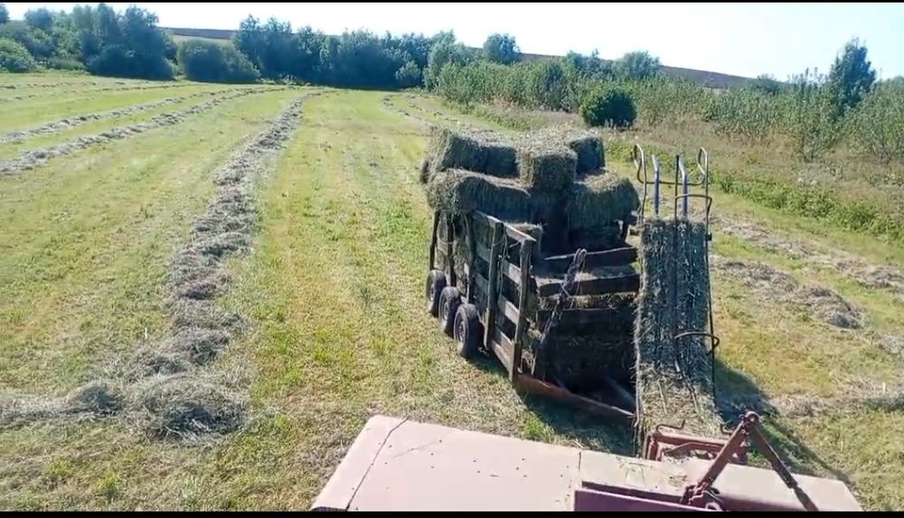 Сіно Солома Отава Люцерква