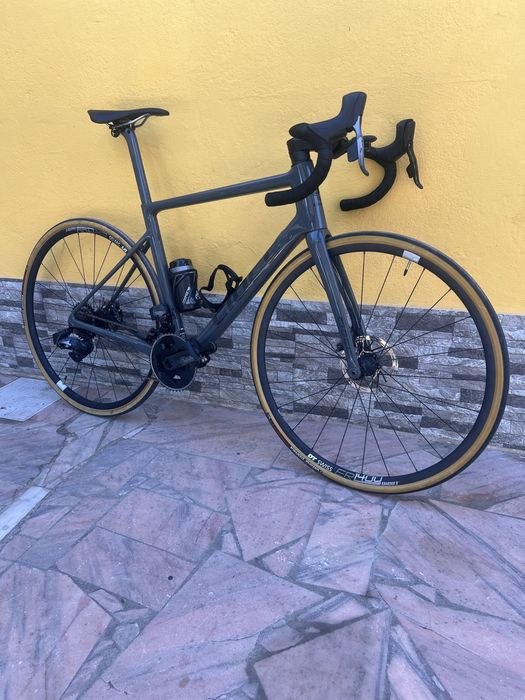 Ciocc rydon dcr