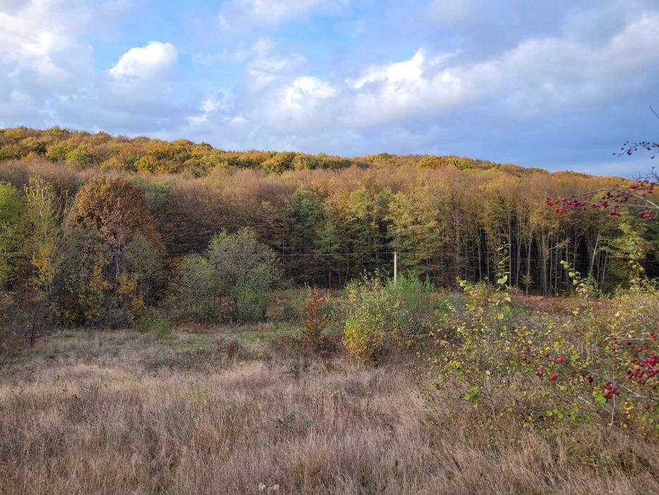 Земельна ділянка