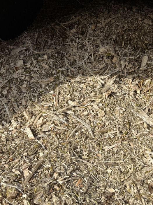 Zrębka opałowa – mix