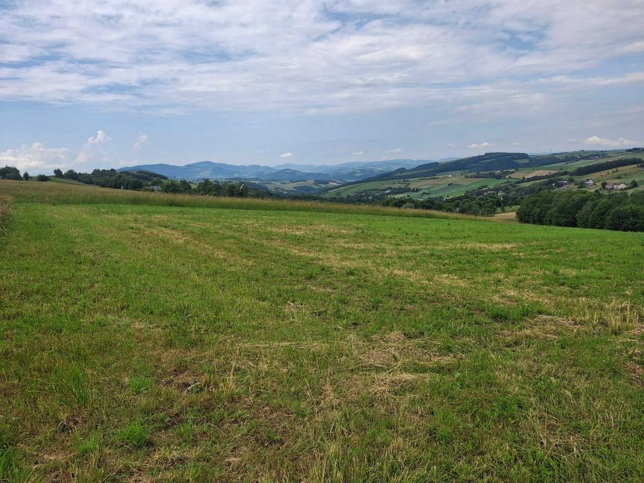 Sprzedam Działkę Budowlaną