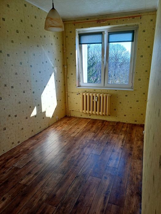 Zdjęcie 2