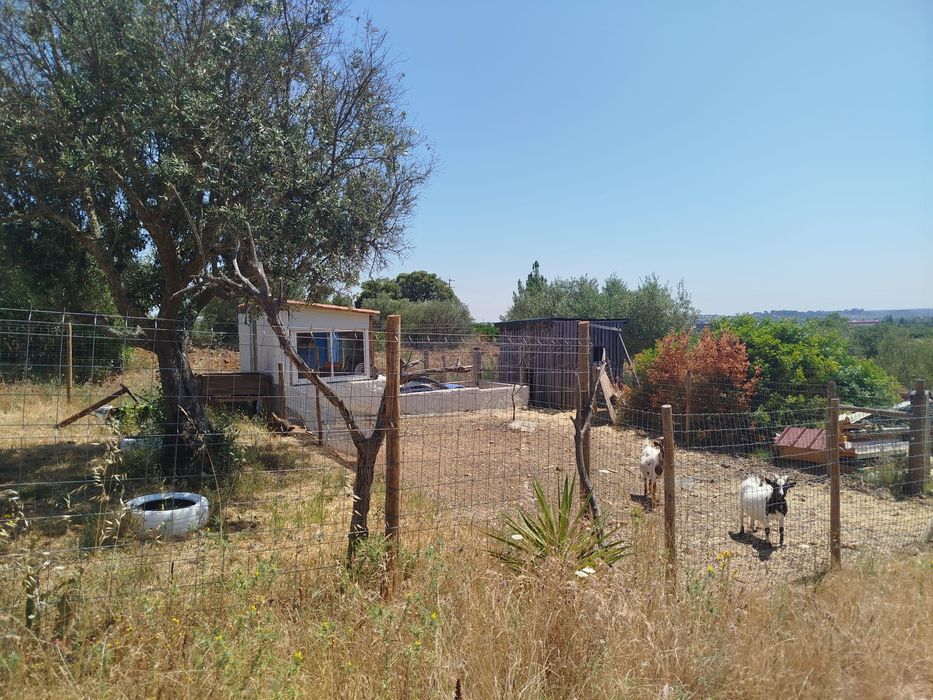 Terreno, comunidade e aldeia na montanha -Land and Village in mountain