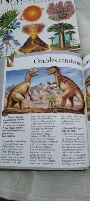 Vendo 10 livros didáticos com oferta de 6 puzzles