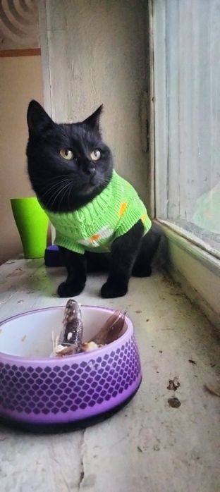 Мамо,знайдись,я тебе дуже чекаю!