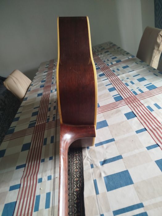 Viola acústica de 12 cordas