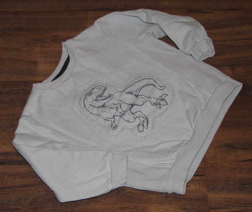 Little Kids bluza dinozaur 98 104