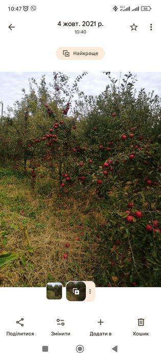 Продам будинок .