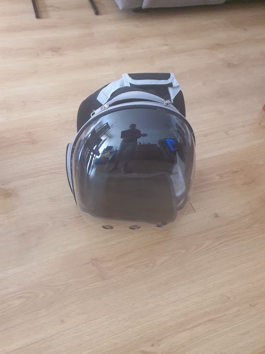 Transporte para gatos