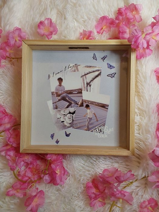 Shawn Mendes mealheiro