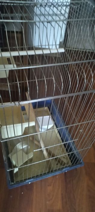 Vendo gaiola para pássaros