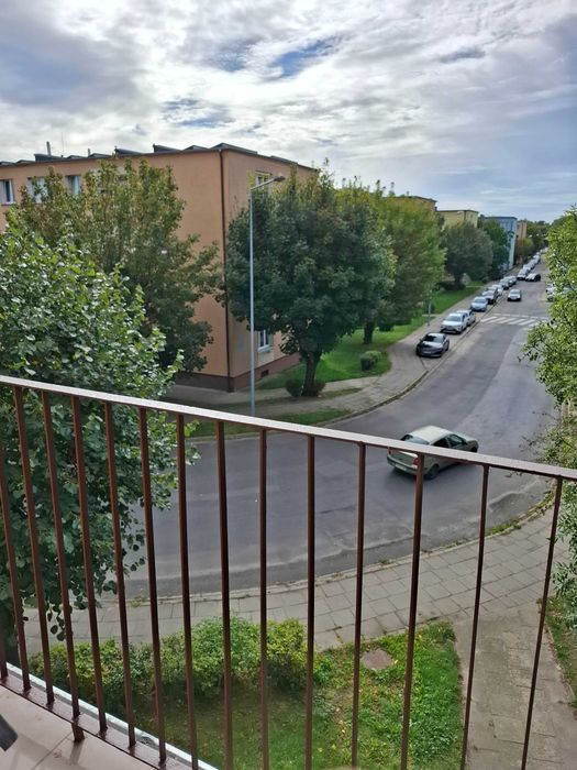 Zdjęcie 8
