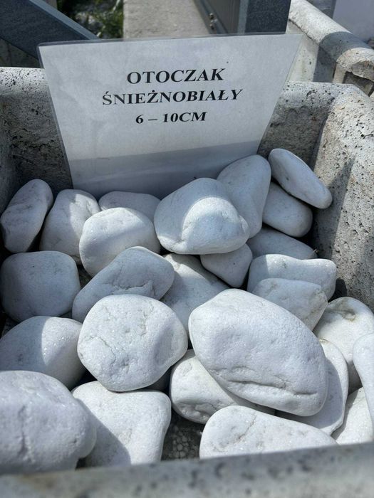 Otoczak śnieżno-biały