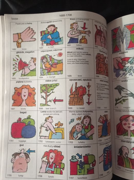 Renyi Picture Dictionary. Polish and English
