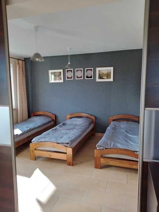 Apartamenty na wynajem