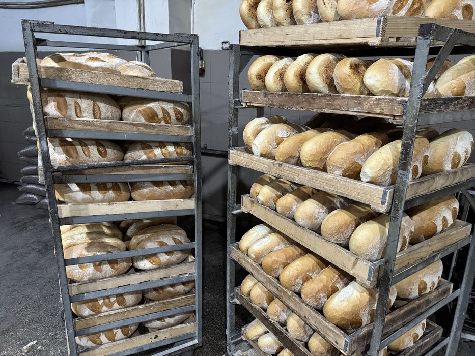 Діючий бізнес - пекарня, розлив питноі води, АЗС, офіс