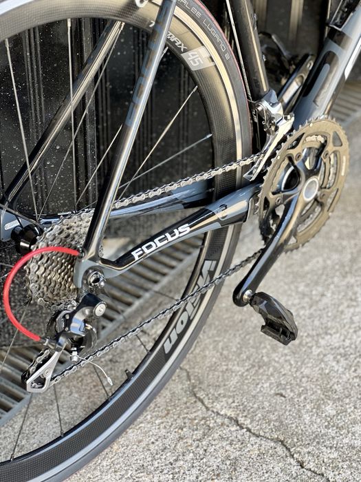 Focus cayo carbono