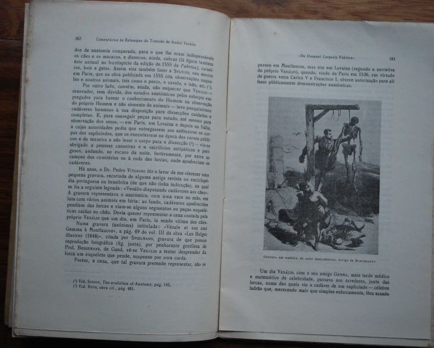 Comentários Às Estampas do Tratado de André Vesálio