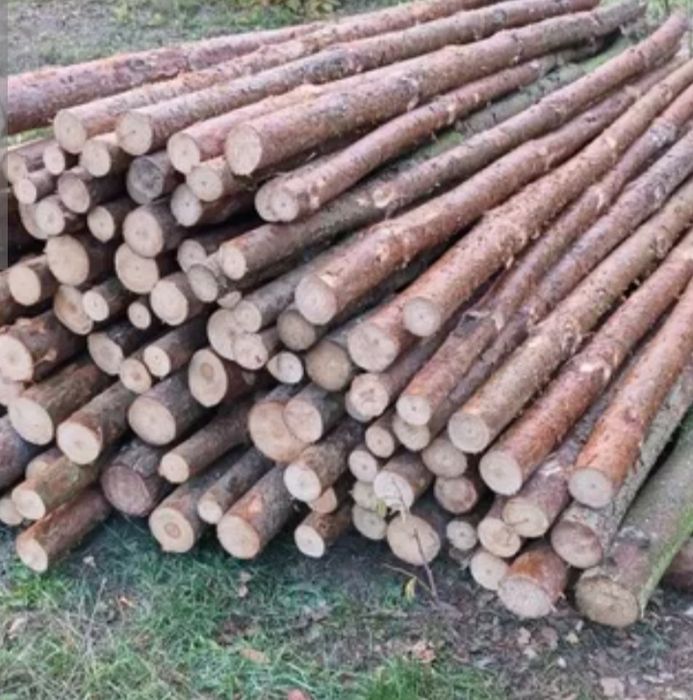 Kołki słupki, stemple drewniane. Dowóz . Wykonam ogrodzenia tymczasowe