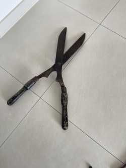 Antigo cinzel de corte de sebe em muito bom estado