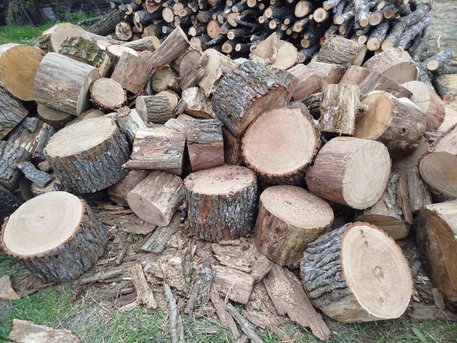 Дрова твердих порід