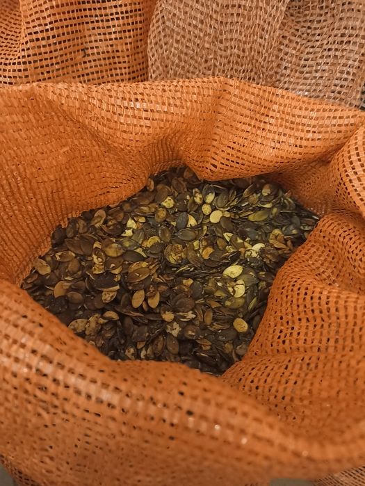 Dynia ekologiczna z gospodarstwa certyfikowanego