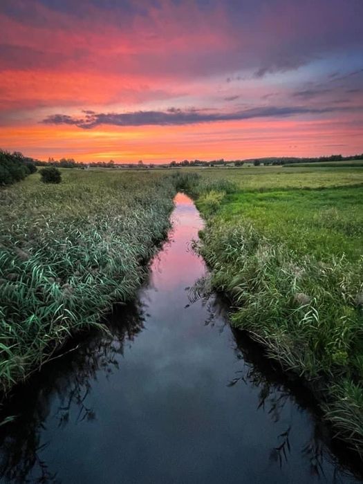 Agroturystyka Dom przy rezerwacie ptakow