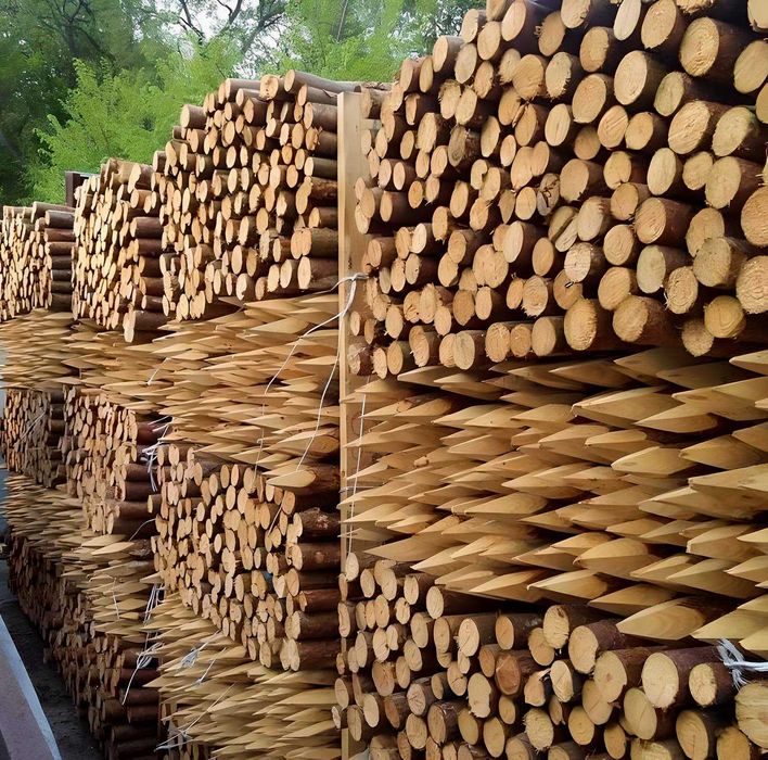 PALIKI - MELIORACJA faszyna i palisada, kołki, pale L=0,8 - 3,0m