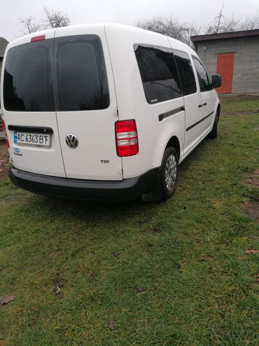 Caddy maxy кадді каді