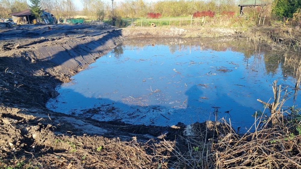 Kopanie stawów, czyszczenie stawów, odmulanie stawów, koparka long