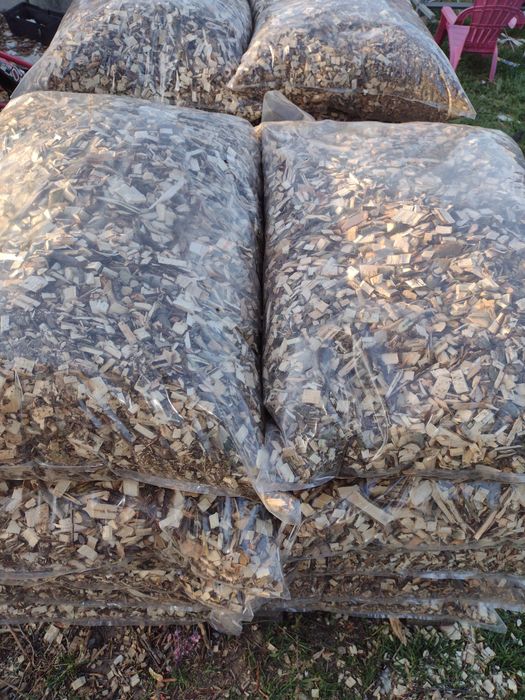 Zrębki z drzew liściastych