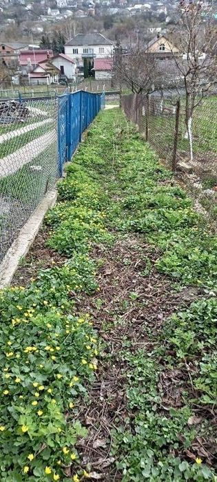 Продаж будинку в м.Теребовля